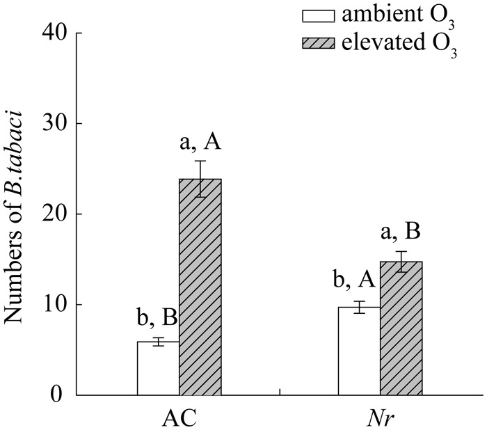 FIGURE 3