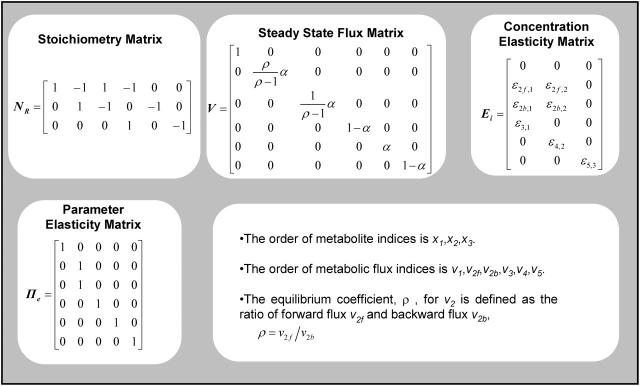 graphic file with name biophysj00048090T03_HT.jpg