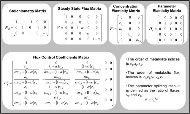 graphic file with name biophysj00048090T02_HT.jpg