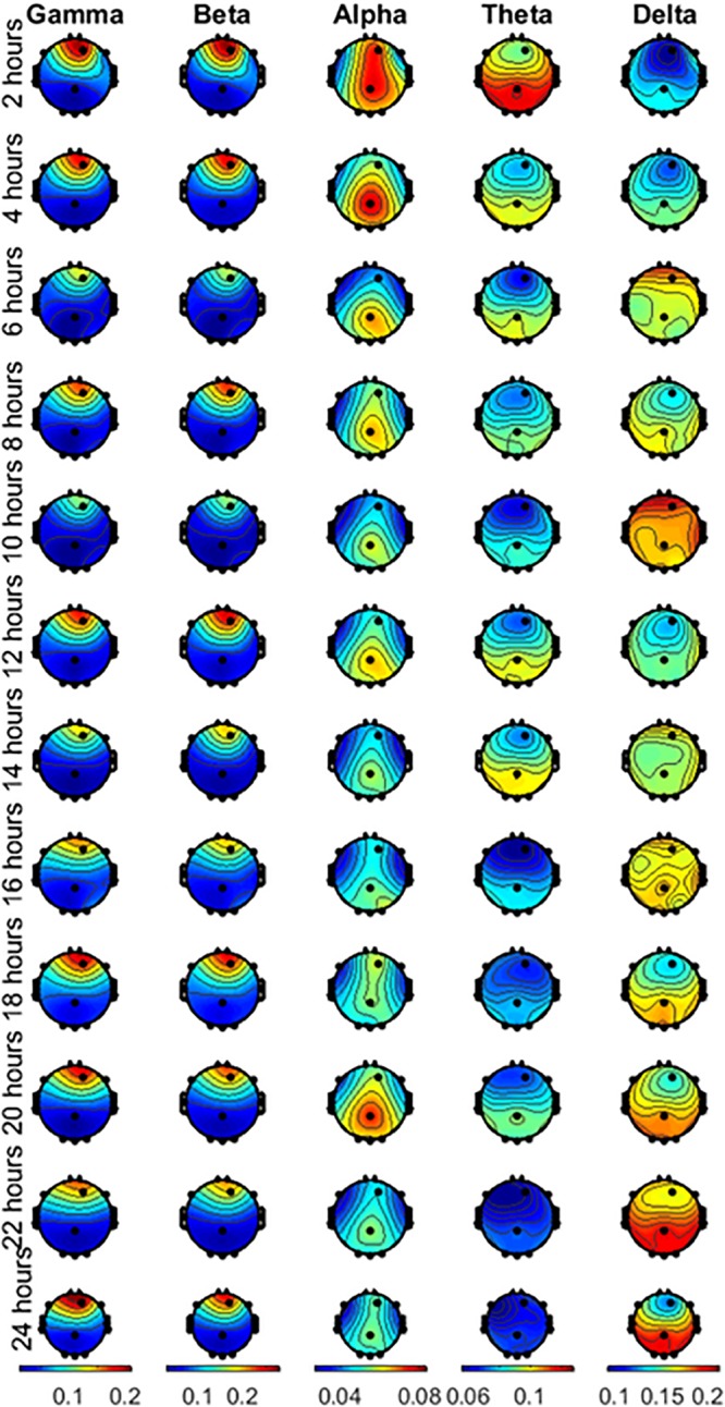 FIGURE 3