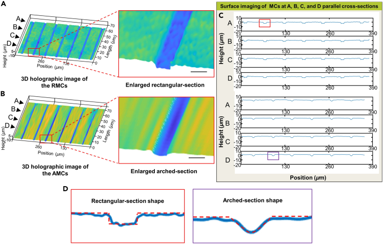 Figure 3