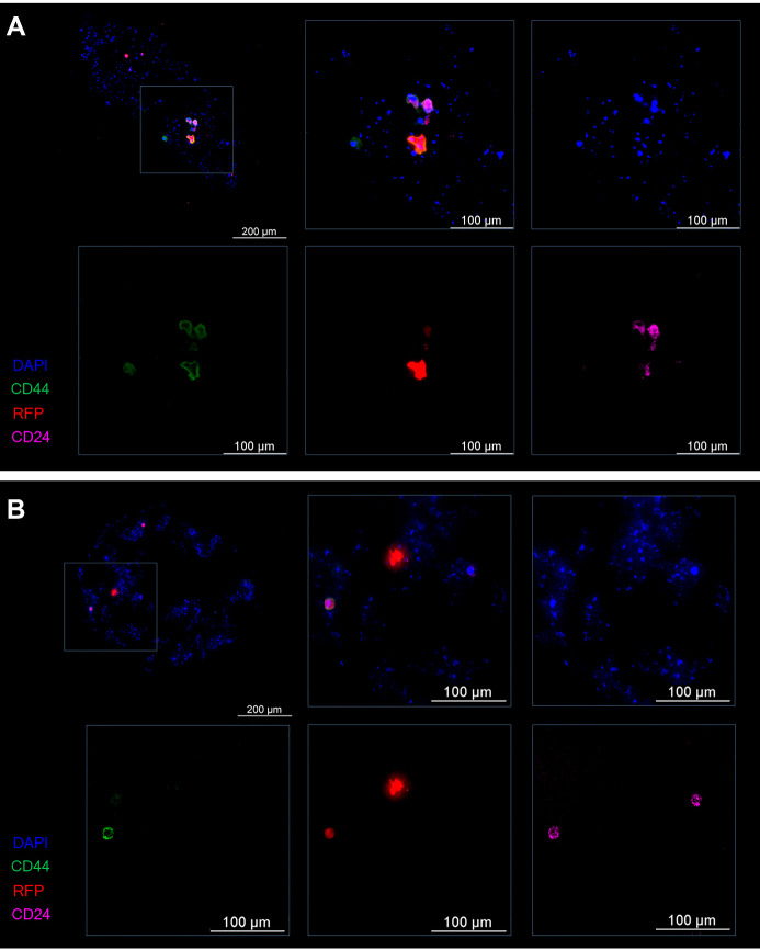 Figure 12.