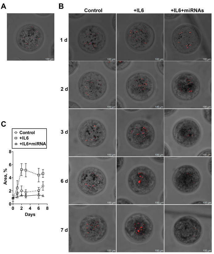 Figure 10.