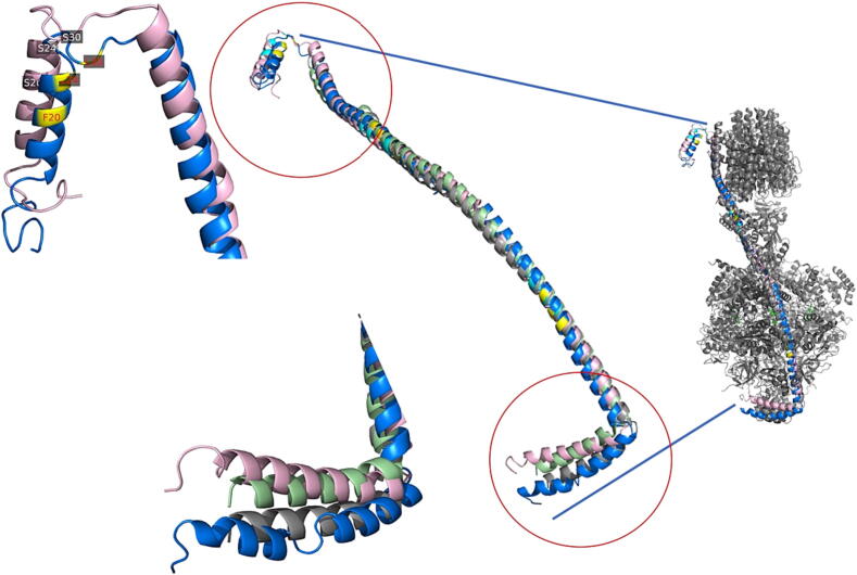 Fig. 4