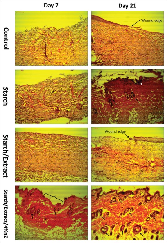 Figure 7