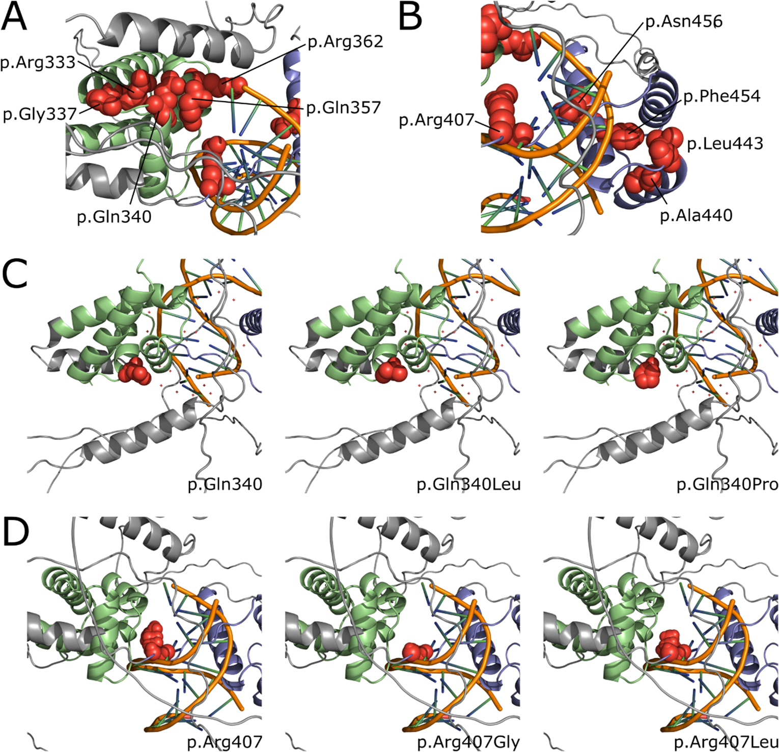 Figure 4A-B; C-D.