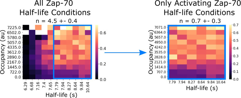 Figure 4—figure supplement 2.