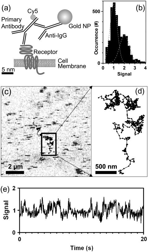 FIGURE 3