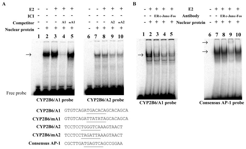 Fig. 5