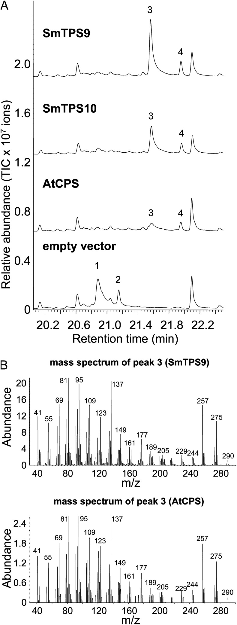 Fig. 2.