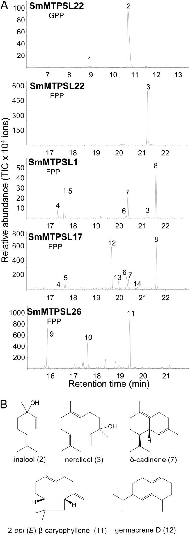 Fig. 3.