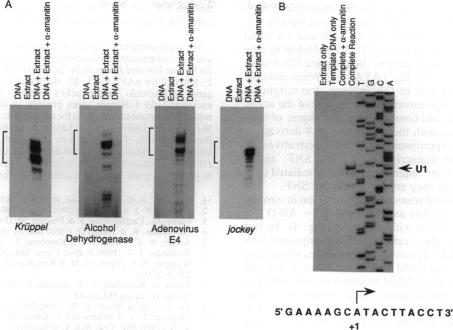 graphic file with name pnas01053-0354-a.jpg