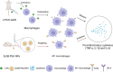 Image, graphical abstract