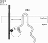 Figure 8.