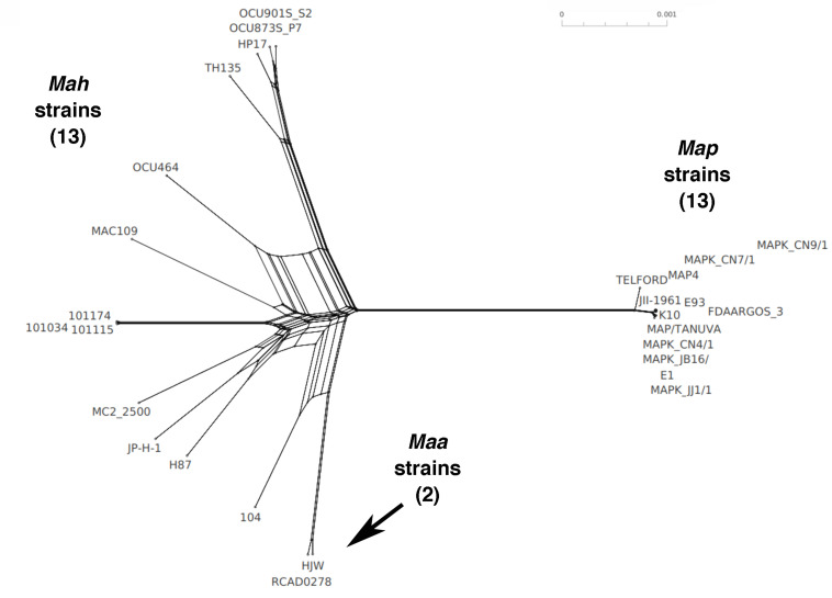 FIGURE 9