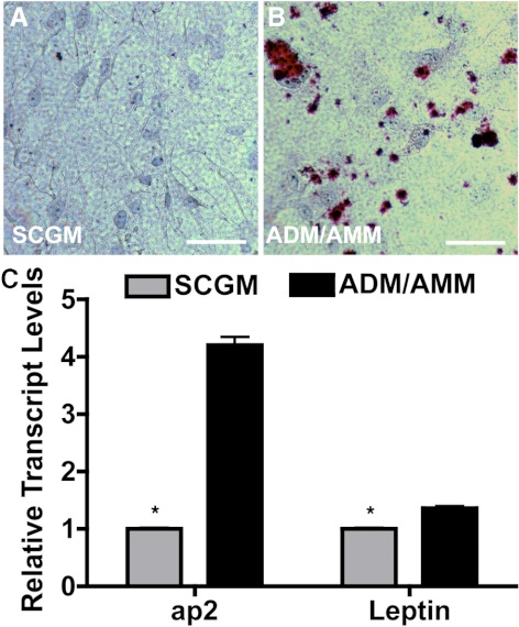 Figure 5.