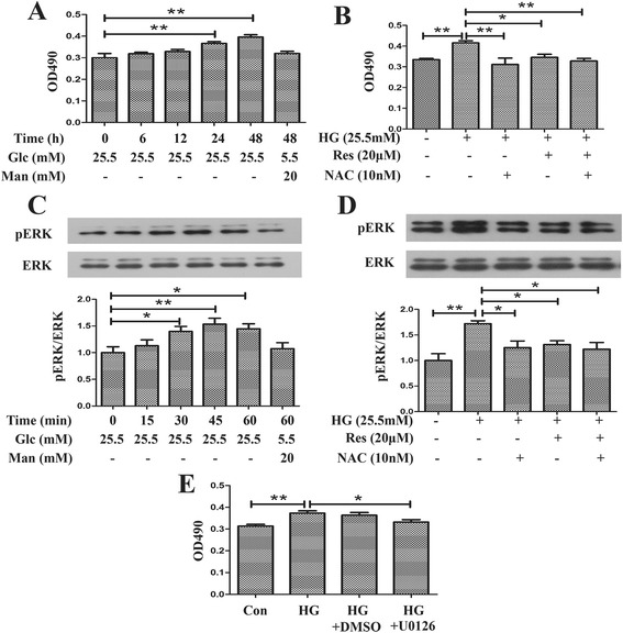 Fig 5