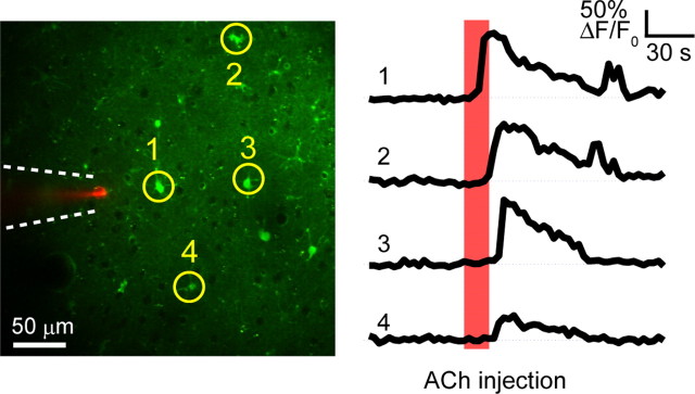 Figure 4.