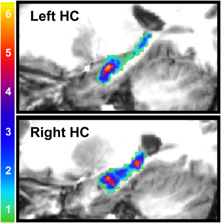 Figure 4