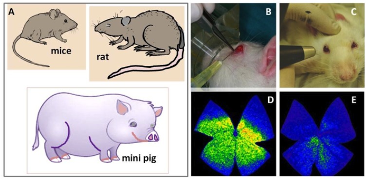 Fig. (3)