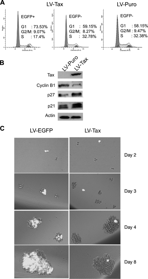 FIG. 8.