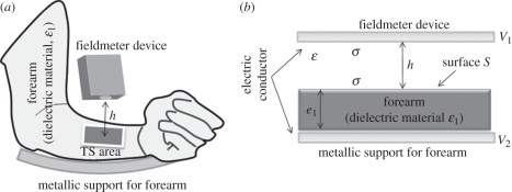 Figure 7.