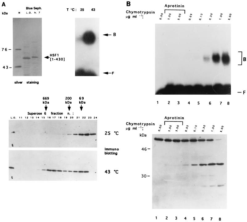 FIG. 6