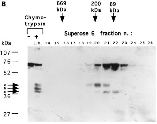 FIG. 5