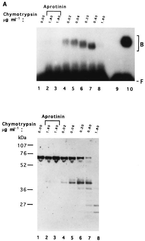 FIG. 5