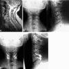 Fig. 3