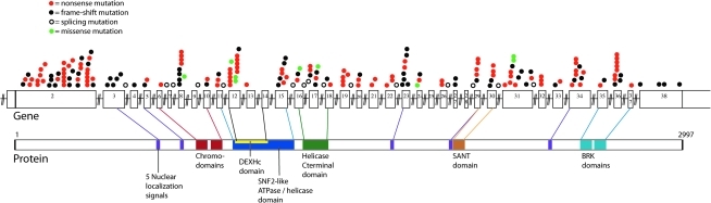 FIG. 1.