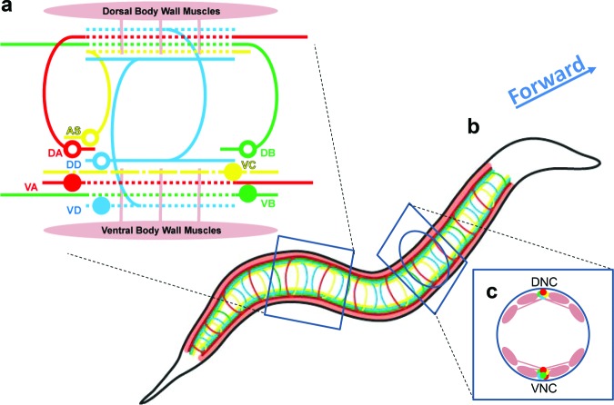 Figure 2.