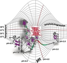 graphic file with name CHEM-26-1968-g011.jpg