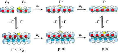 Fig. 14