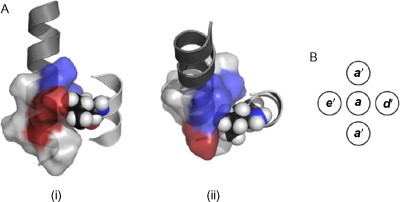 Fig. 5