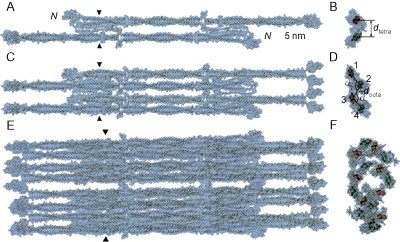 Fig. 19