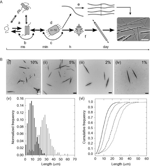 Fig. 21