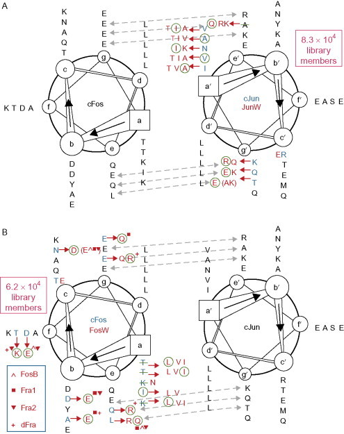 Fig. 7