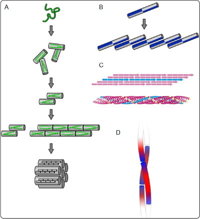 Fig. 20