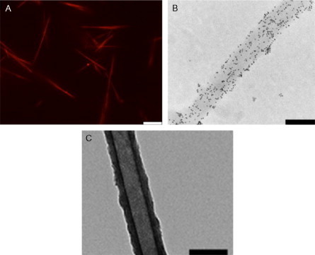 Fig. 25