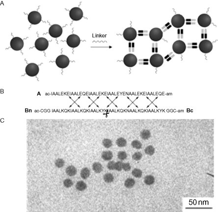 Fig. 12