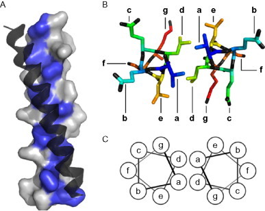 Fig. 3