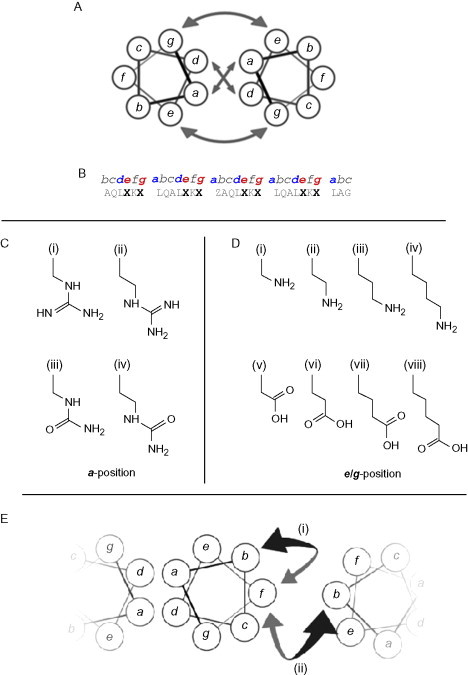 Fig. 11