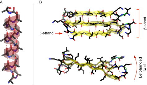 Fig. 2