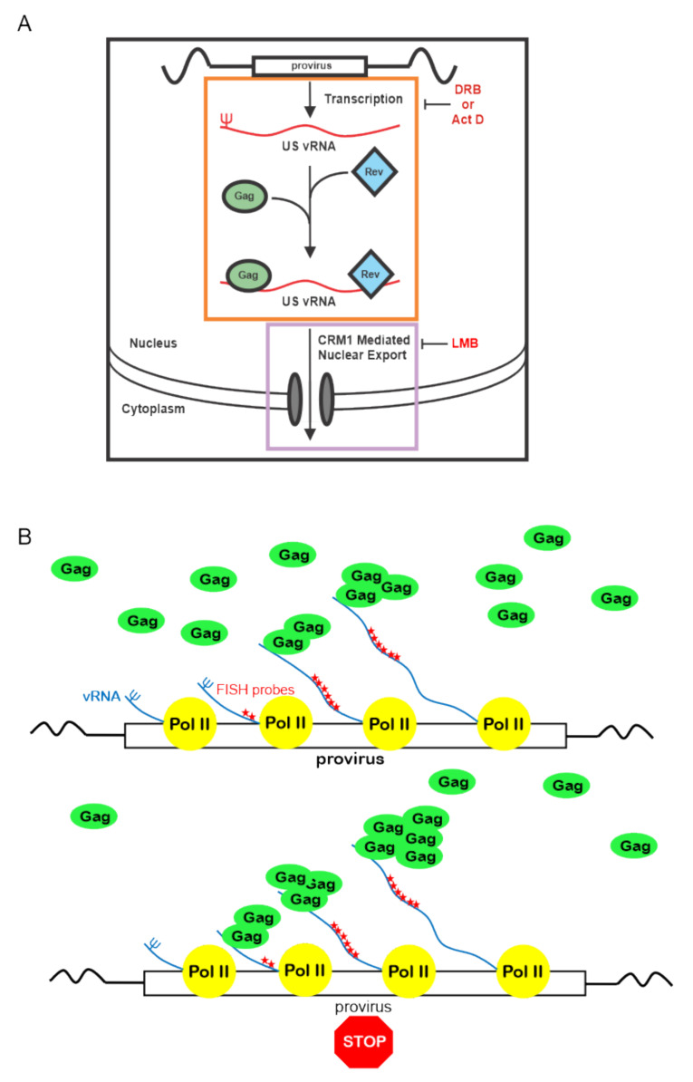 Figure 9