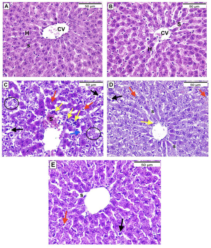 Fig 4