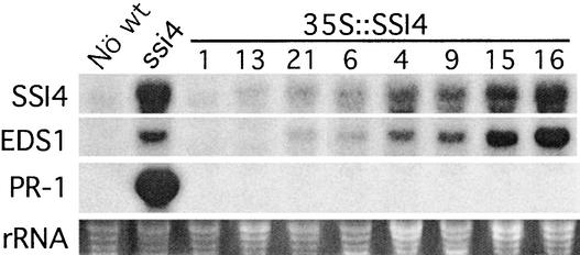 Figure 6.