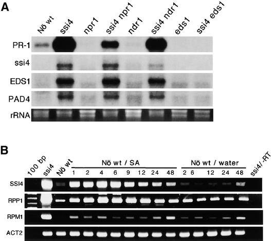 Figure 5.