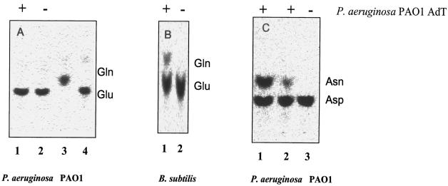 FIG. 6.