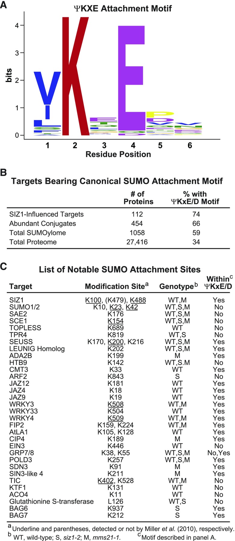 Figure 9.